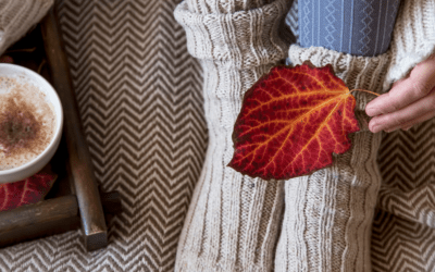 Com triar caldera de Gasoil: Guia essencial per a l’elecció