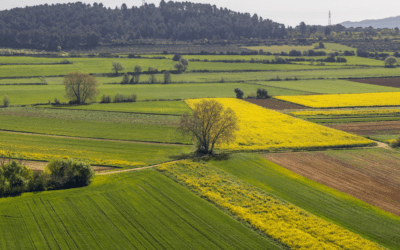 Avantatges del nostre servei de distribució de gasoil a domicili
