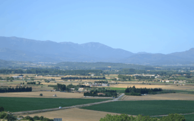 Per què és important l’experiència del teu proveïdor de gasoil?